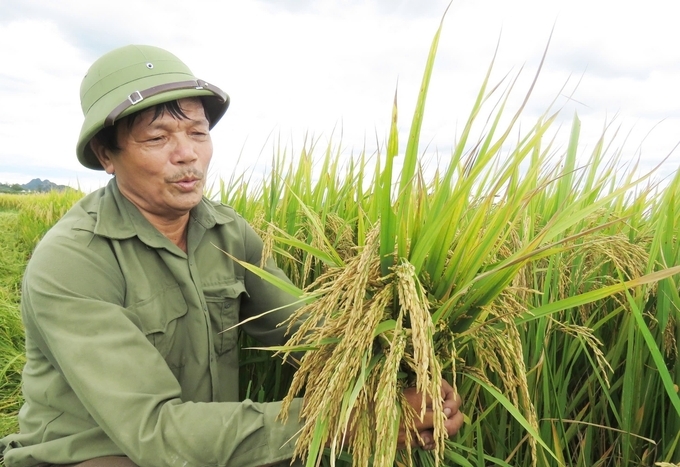 Những hạt giống từ trên trời rơi xuống cánh đồng 'không dấu chân'