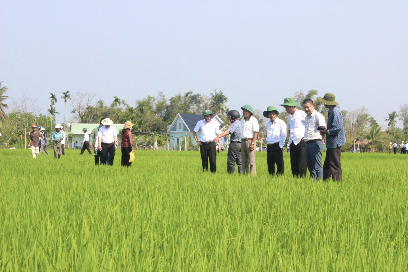 Liên kết 4 nhà, cánh đồng không dấu chân: Bí quyết thành công Tổng Công ty sông Gianh