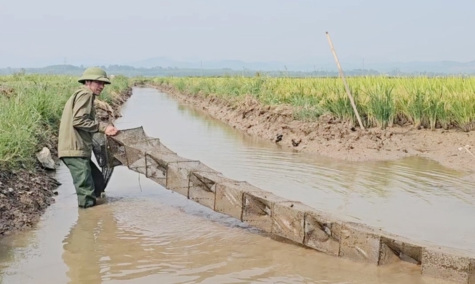 Ứng dụng công nghệ, gọi tôm cá về đồng ruộng