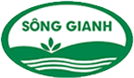 Sử dụng Phân bón hữu cơ Sông Gianh trên cây Xoài theo hướng hữu cơ đạt tiêu chuẩn xuất khẩu tại Yên Châu - Sơn La